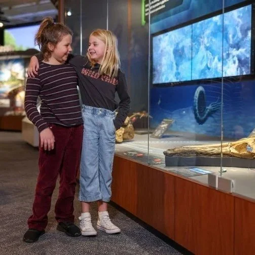 A Night at the Museum: Dinosaur Edition | Queensland Museum Kurilpa
