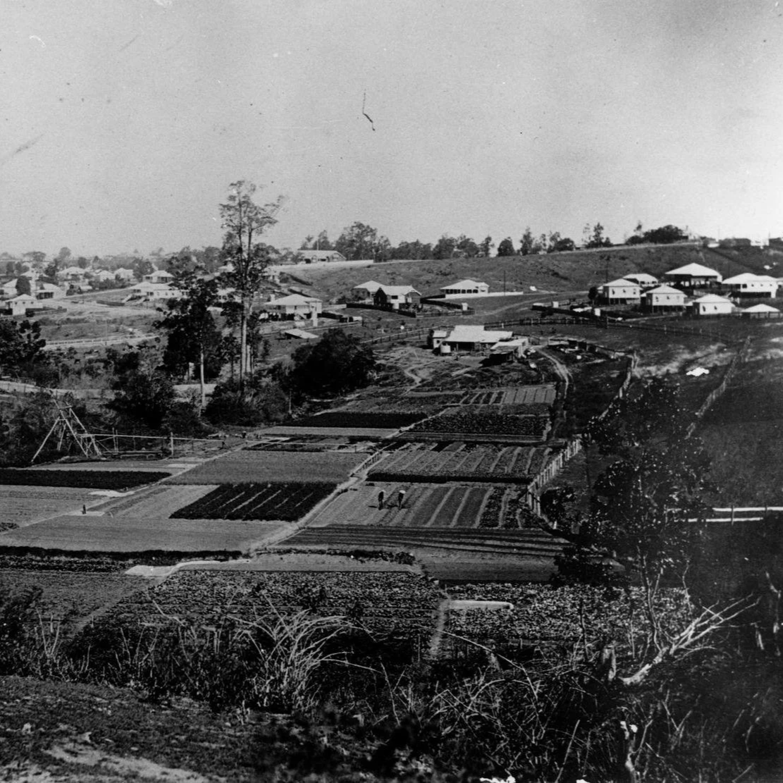 Story Three: Chinese Market Gardens: Feeding Early Brisbane