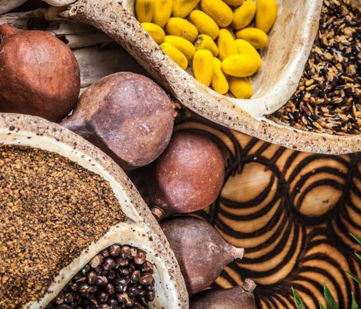 Stories of Food as Living Heritage:      Indigenous Foods: Queensland’s Oldest Living Food Heritage