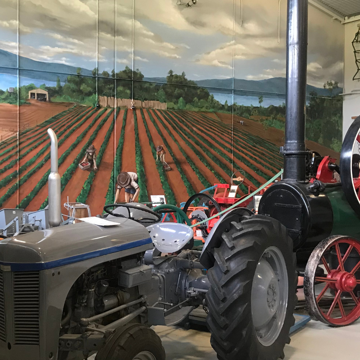 Mighty Machines Day at the Museum