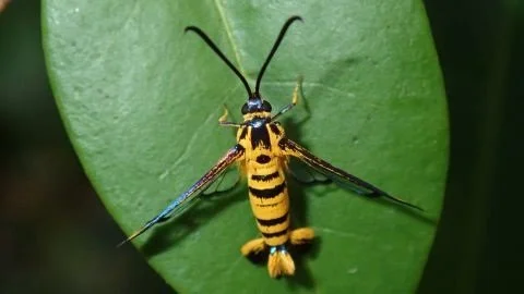 Creepy crawlies and coastal creatures