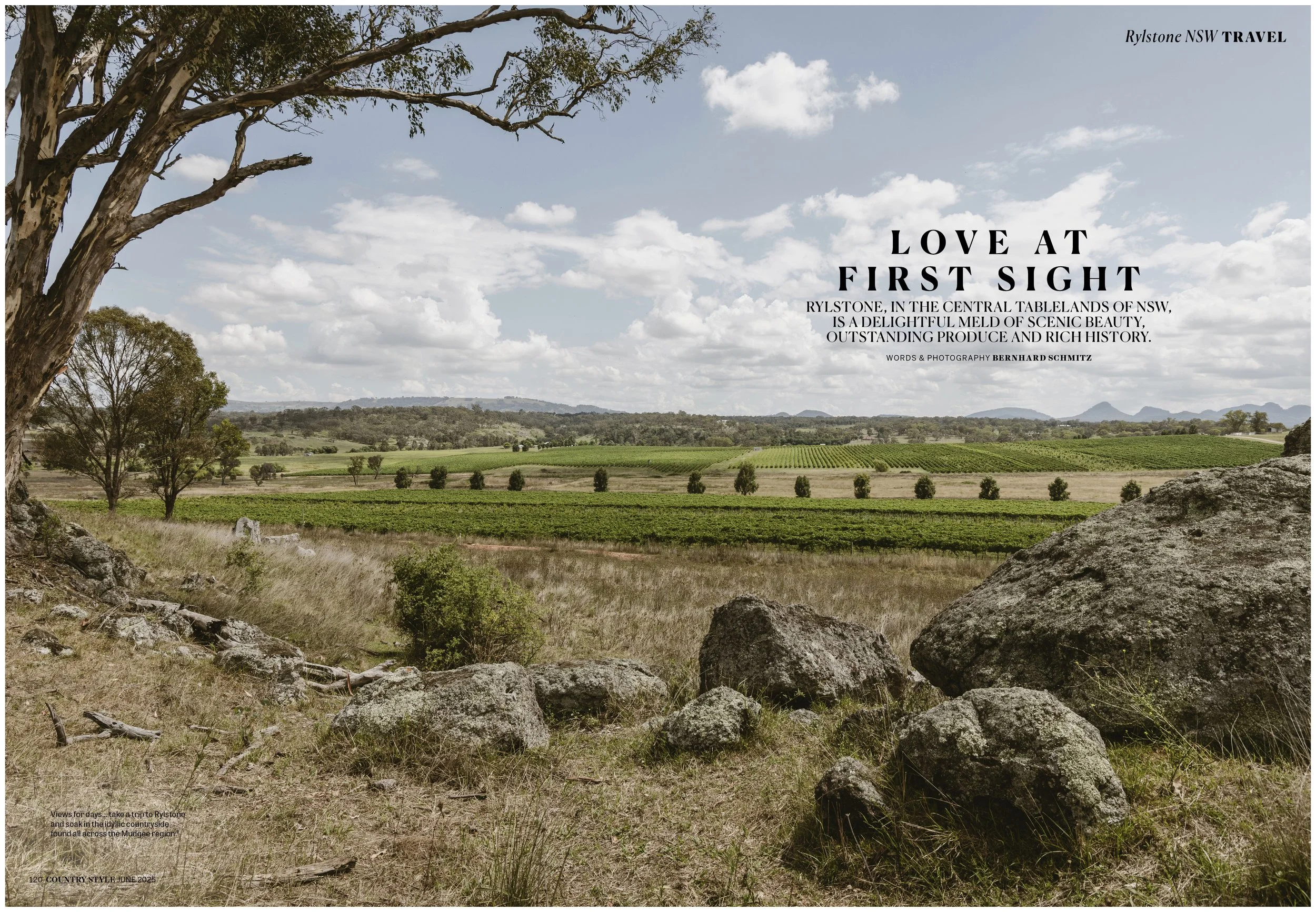 CS June Rylstone copy.jpg