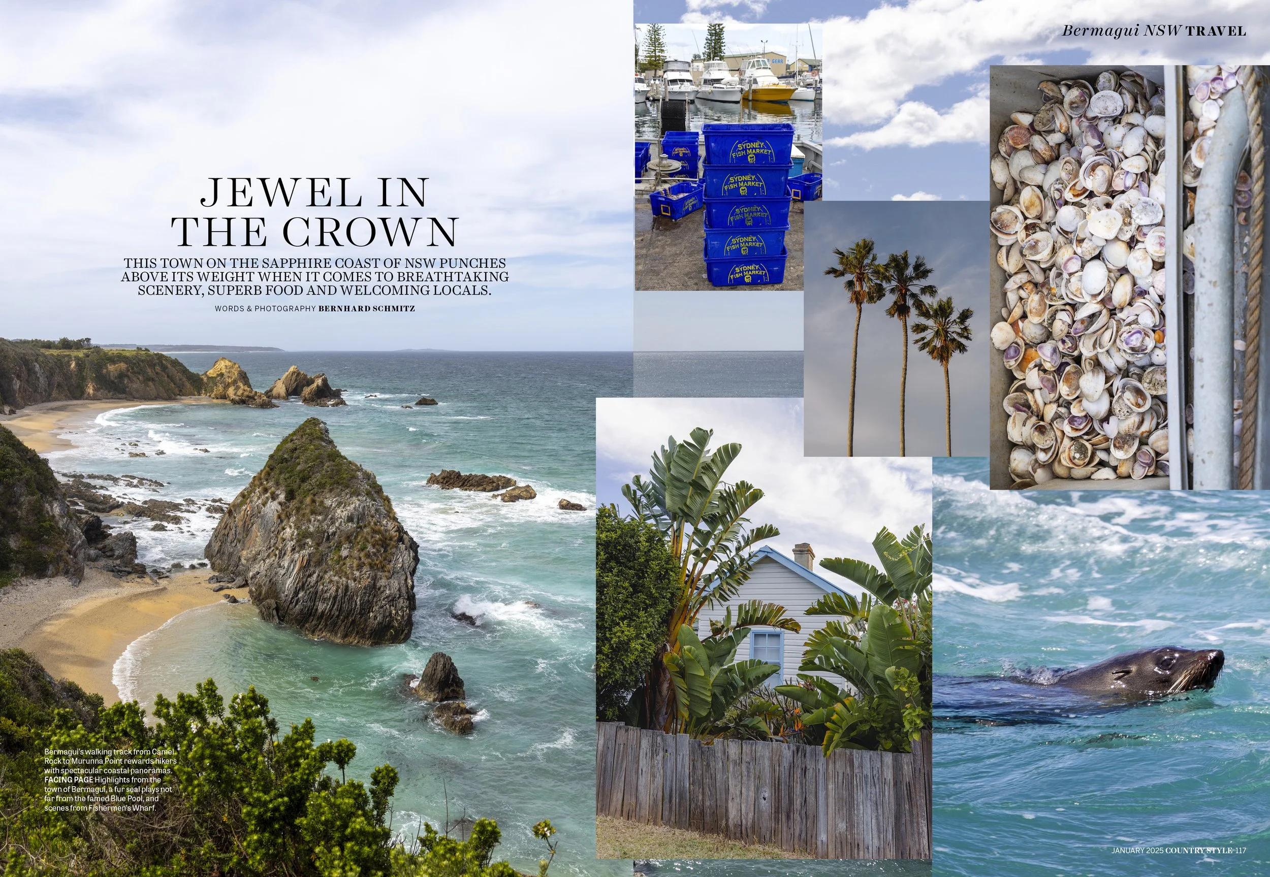 CS Jan Locals Guide Bermagui.jpg