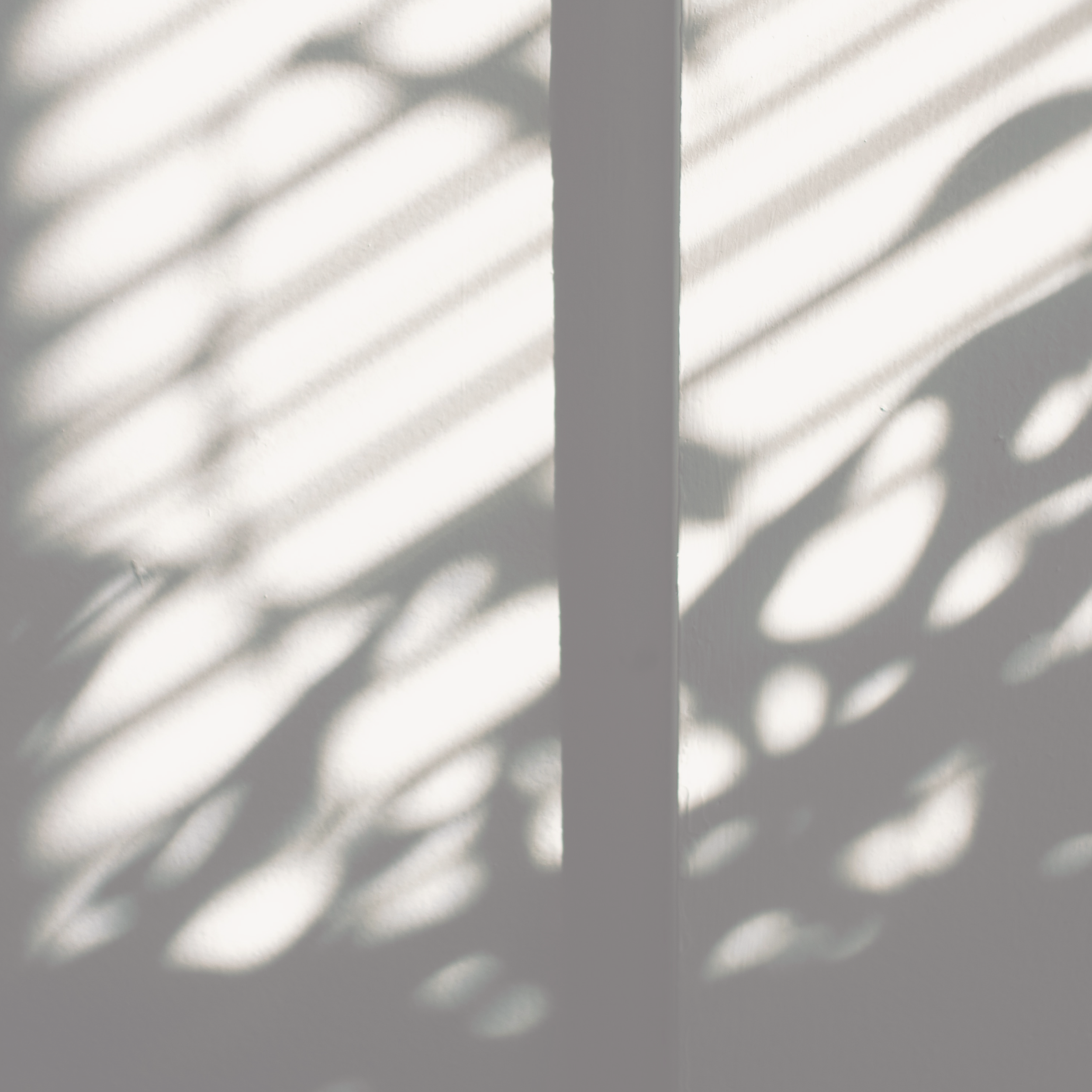 Light Shadows-01.png