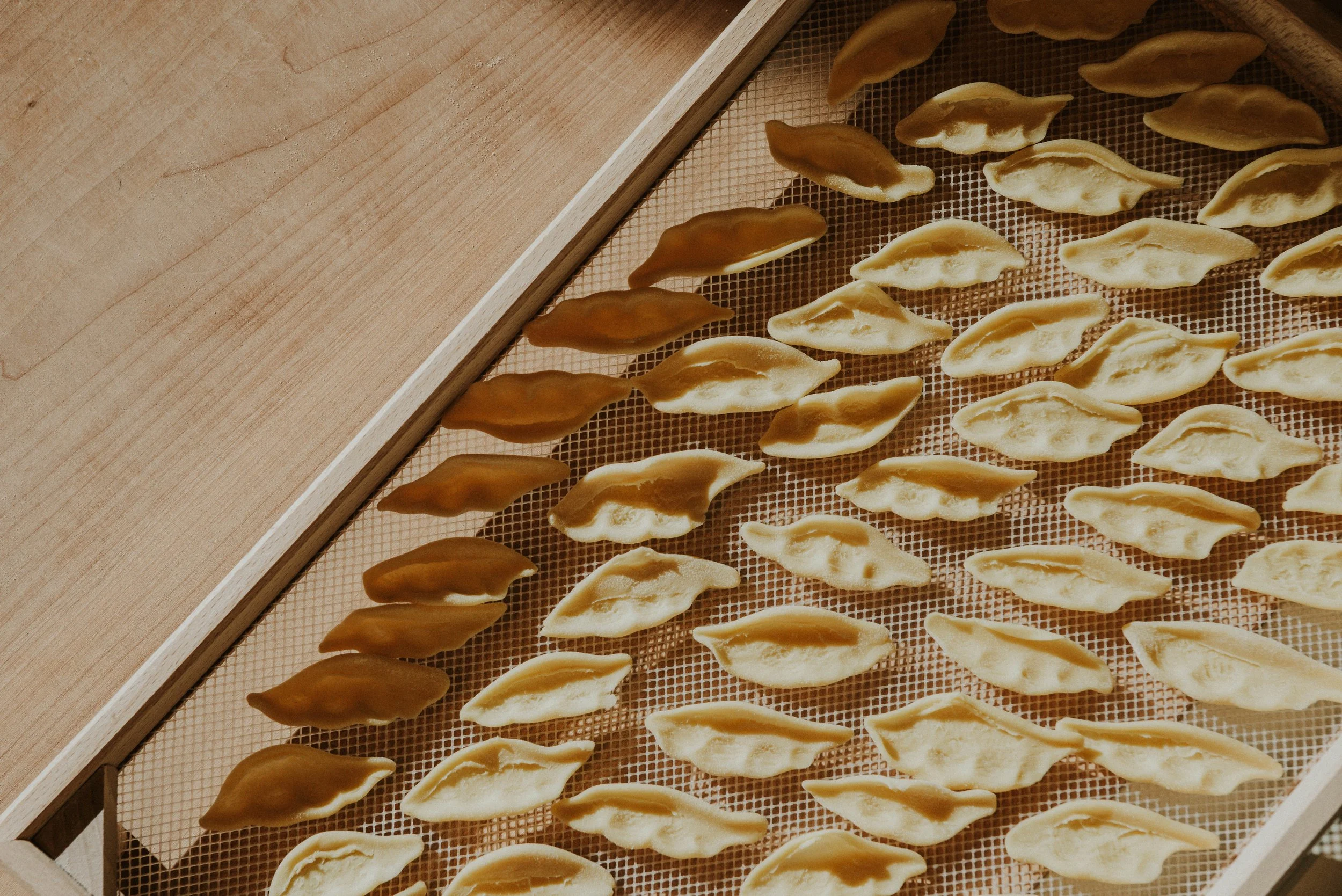 260202_Angela's_GIAMBATTISTA PHOTO-3364-2.jpg