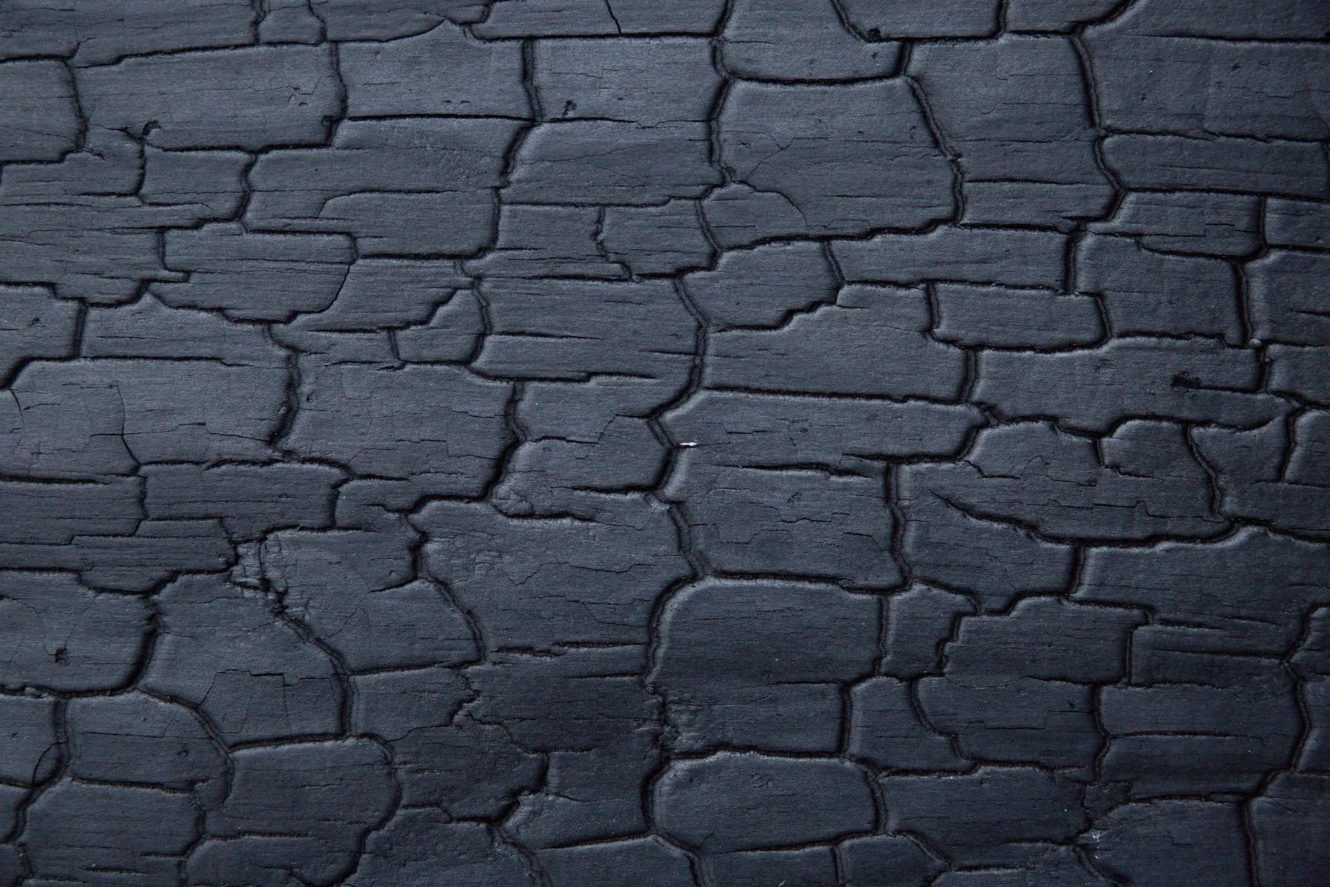 Close up picture of shou sugi ban charred cladding