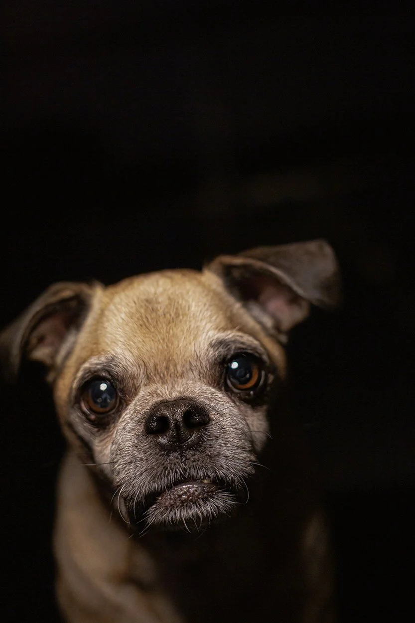 chuckPortrait_website.jpg