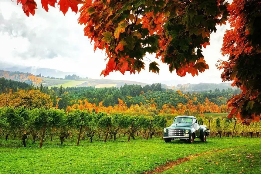 Wine Country Living: What You Need to Know Before Buying Near Forest Grove's Vineyards