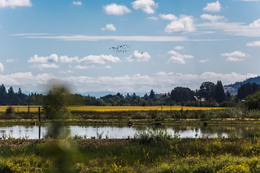 Why Your Forest Grove Utility Bill Looks Different (And What You Need to Know Before You Buy)