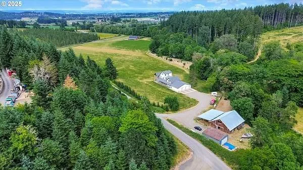 Buying Rural Property Near Forest Grove? Here's the Due Diligence Nobody Warns You About