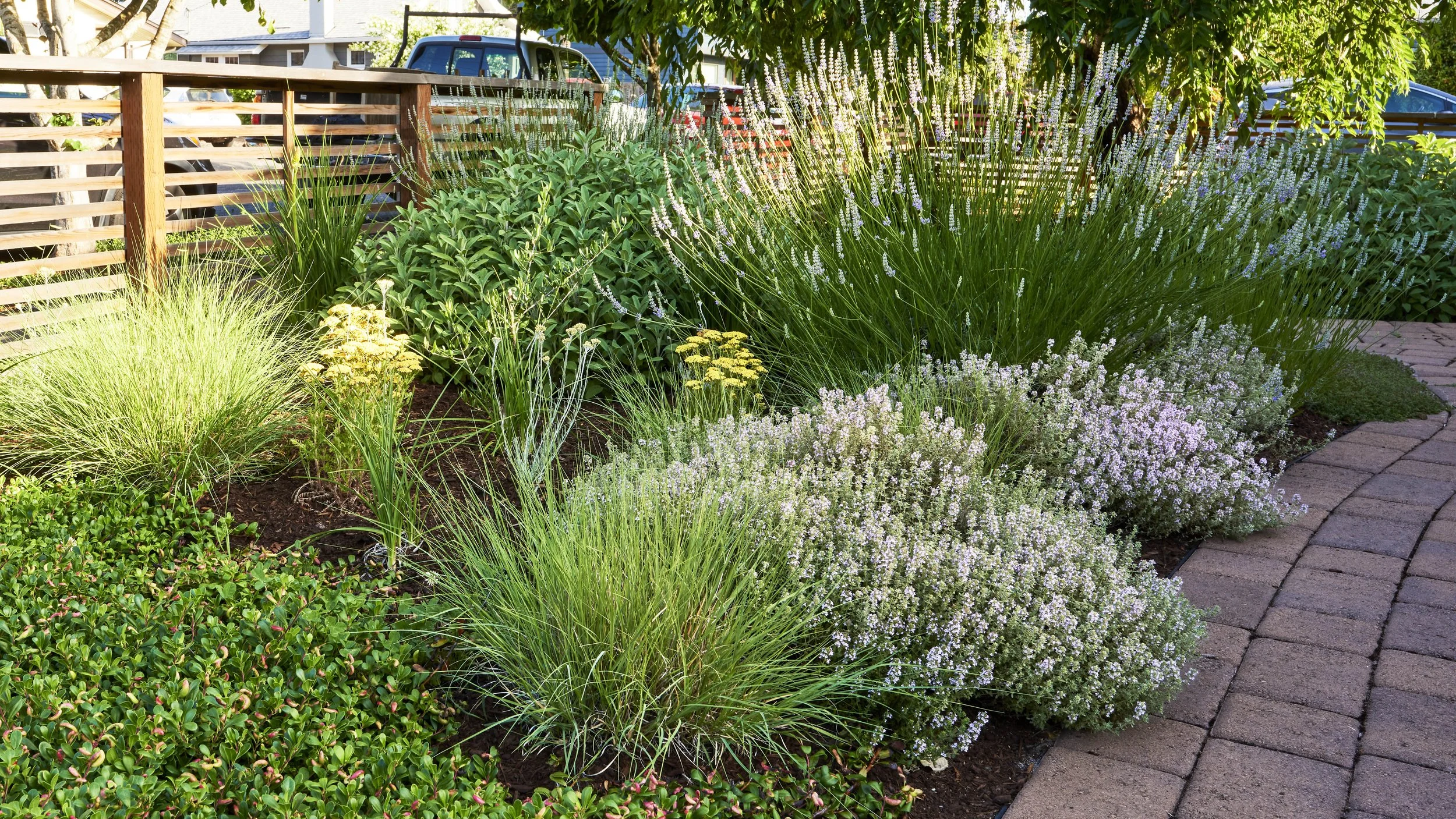 Modern Cottage 9.jpg