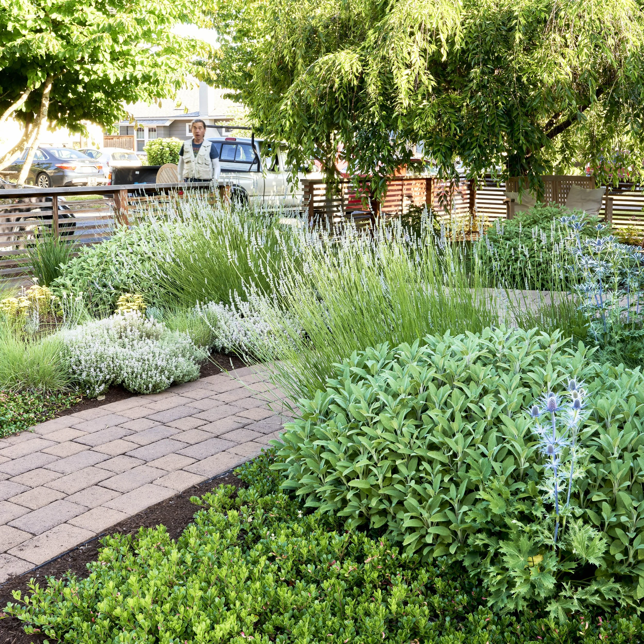 Modern Cottage 1.jpg