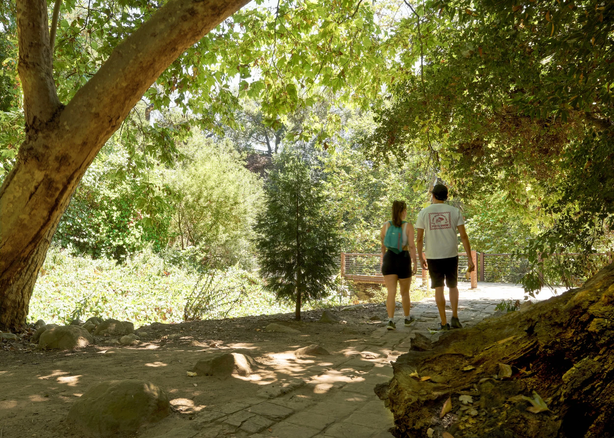 PIZZA COUPLE WALKING copy.jpg