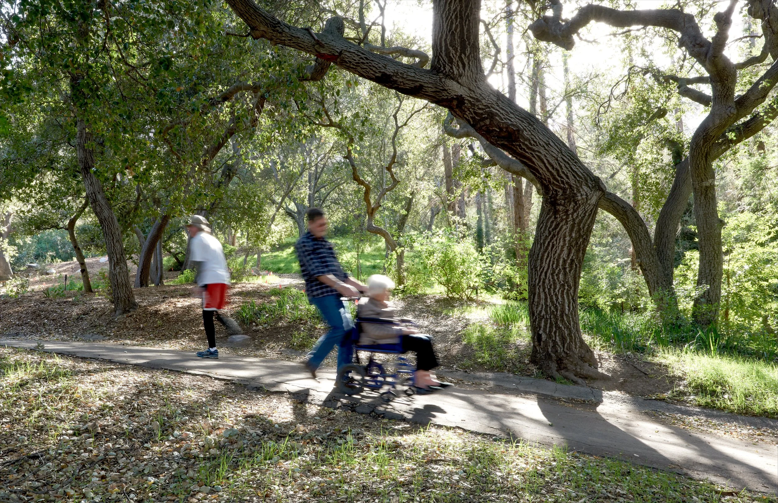DESCANSO GARDENS  2020_DSC0951 copy.jpg