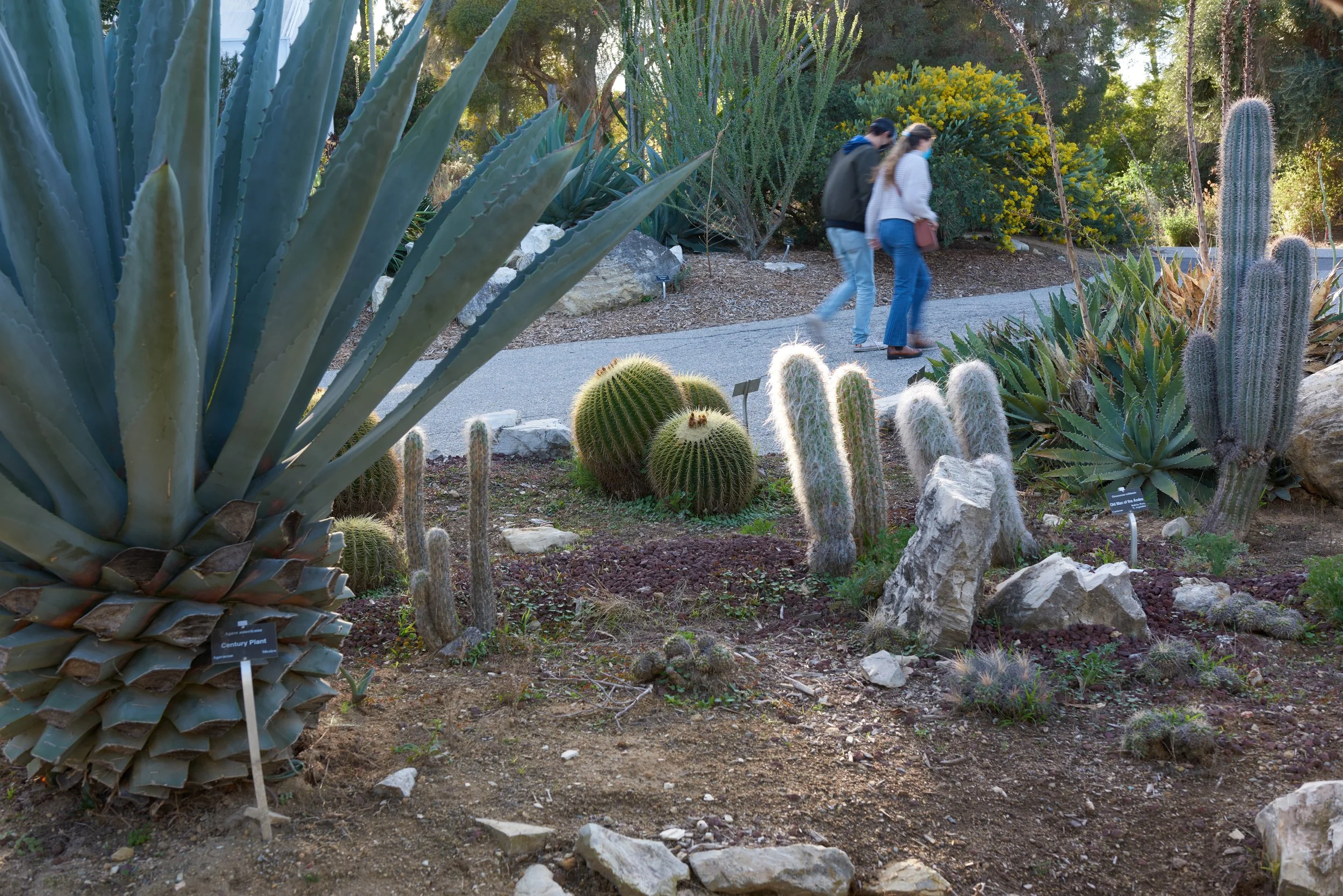 SBBG Fall 21 copy.jpg