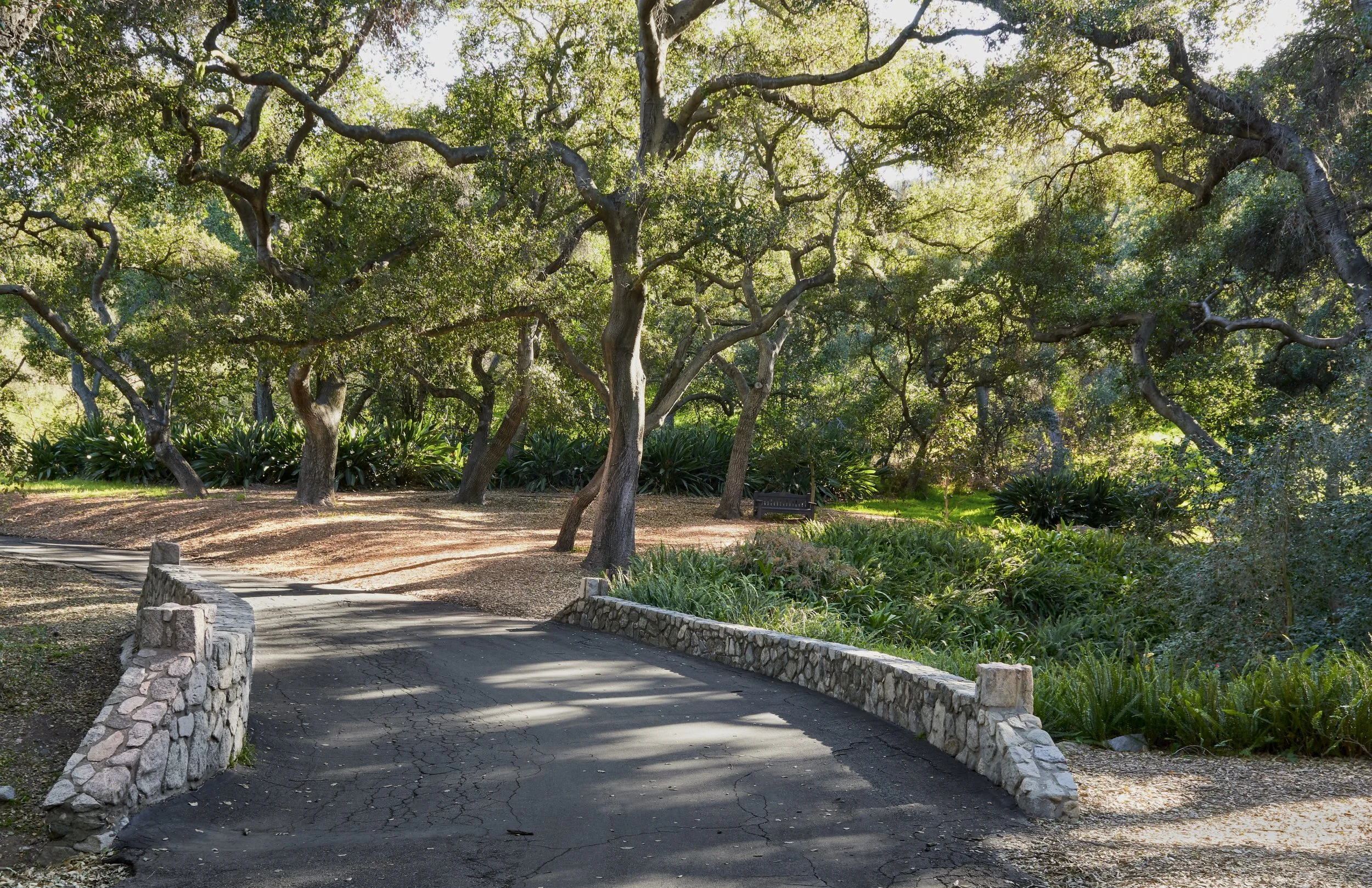 DESCANSO GARDENS3.jpg