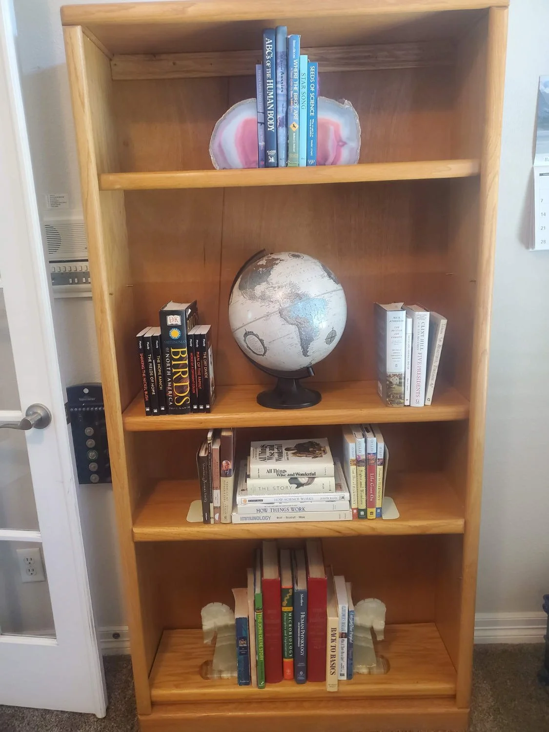 Organized Shelves