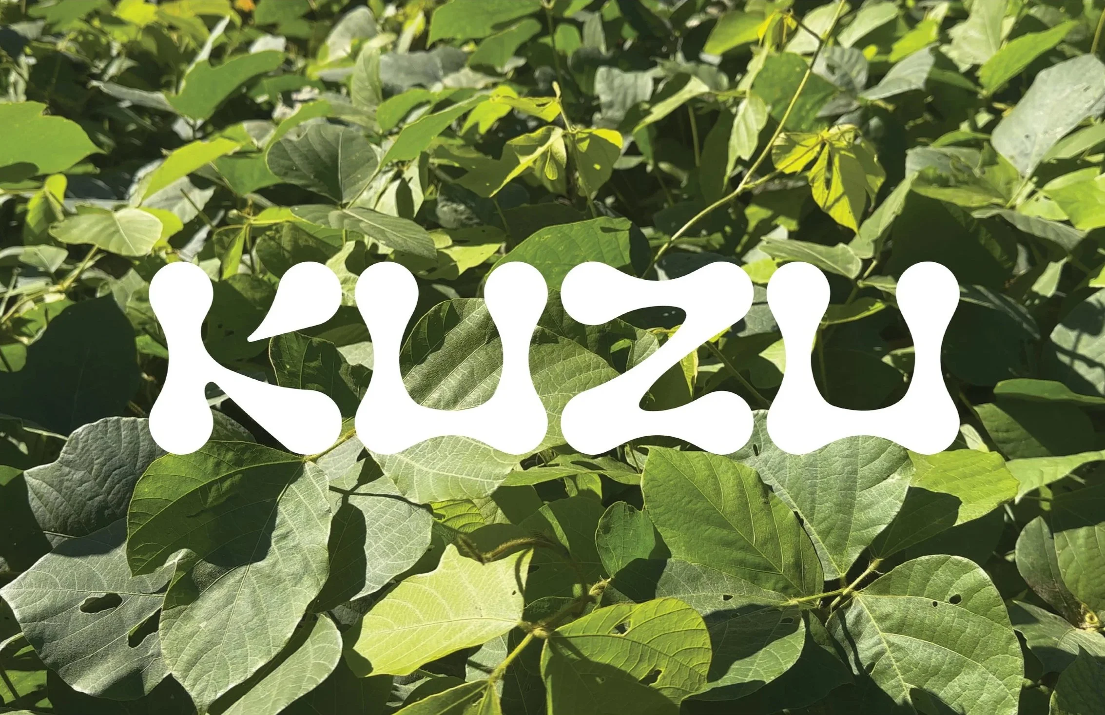 KUZU, Kudzu Leather