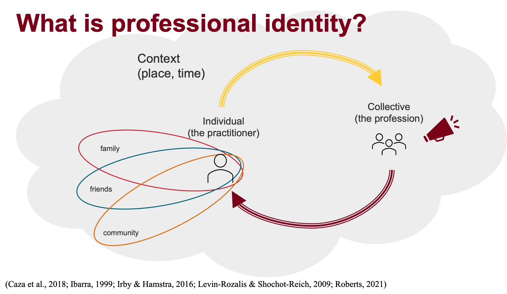 Professional Identity