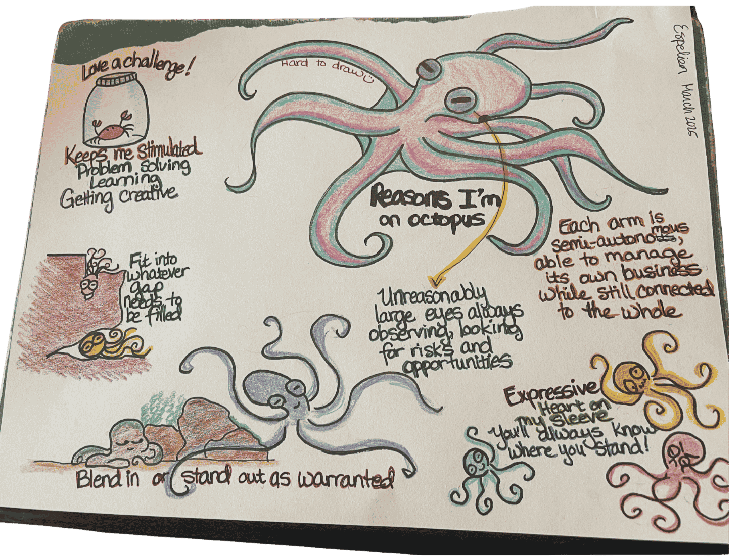 Hand-drawn images drawing comparisons between the artist and an octopus