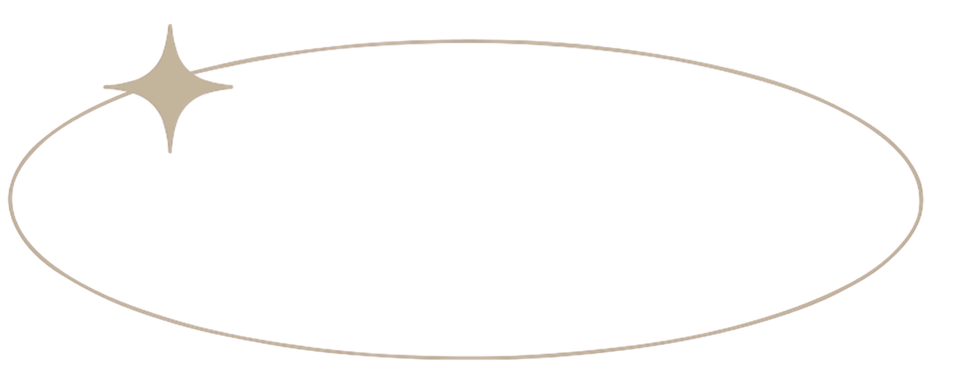 Oval shape with a small sparkle or shine on the left side.