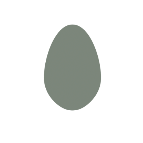Gray egg-shaped object with black lines and symbols around it, including a circle, cross, and triangle.