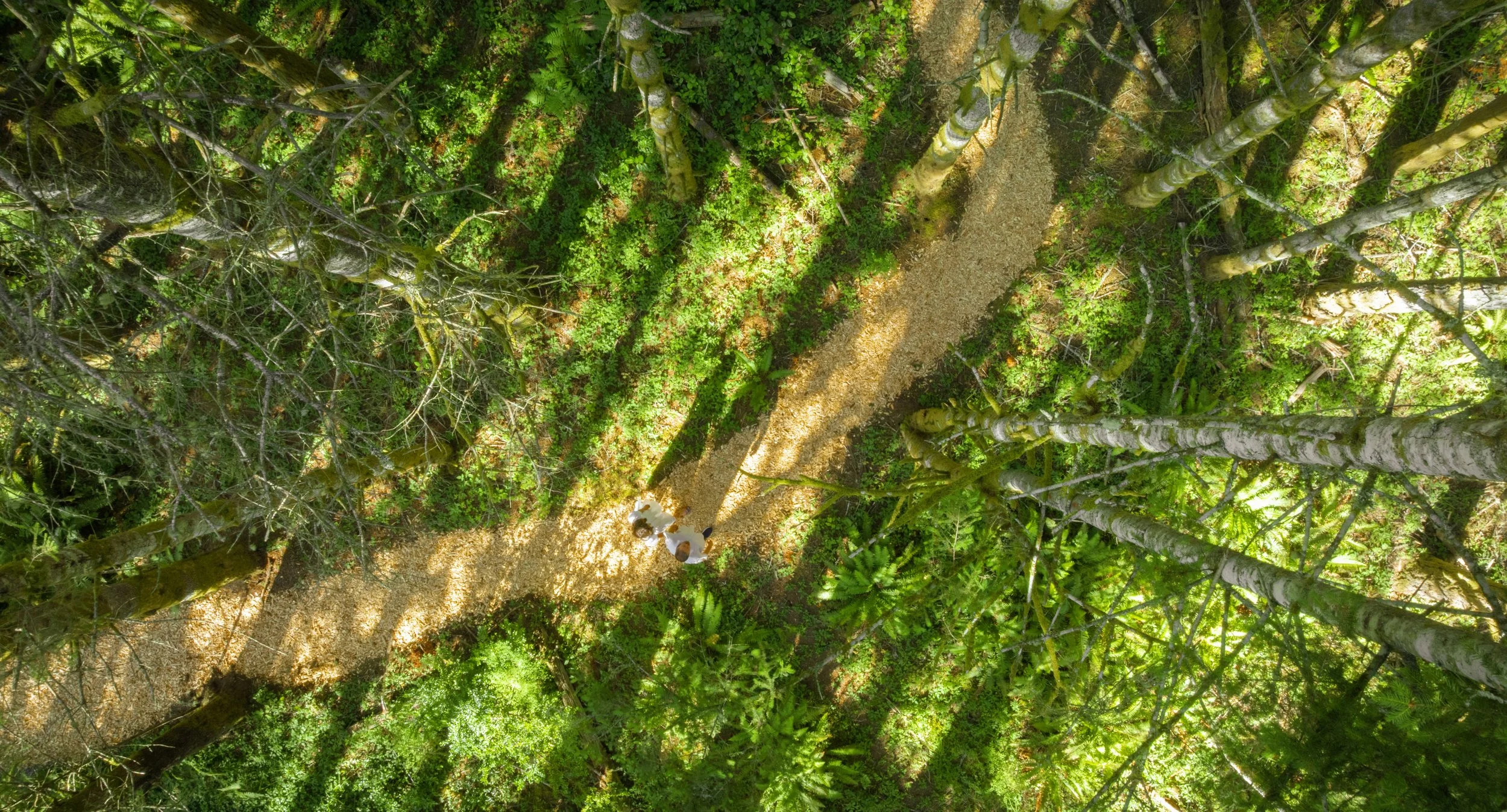 Aerial Trail.jpg