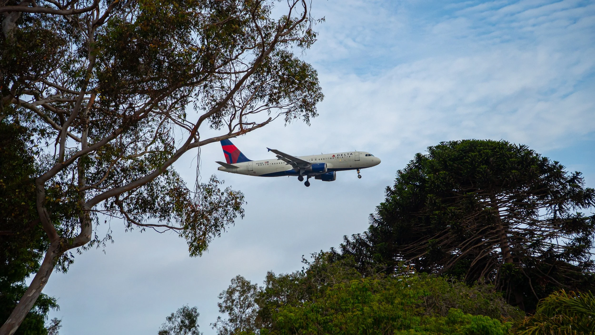 An airplane flying low through a cloudy sky, surrounded by trees in the foreground.