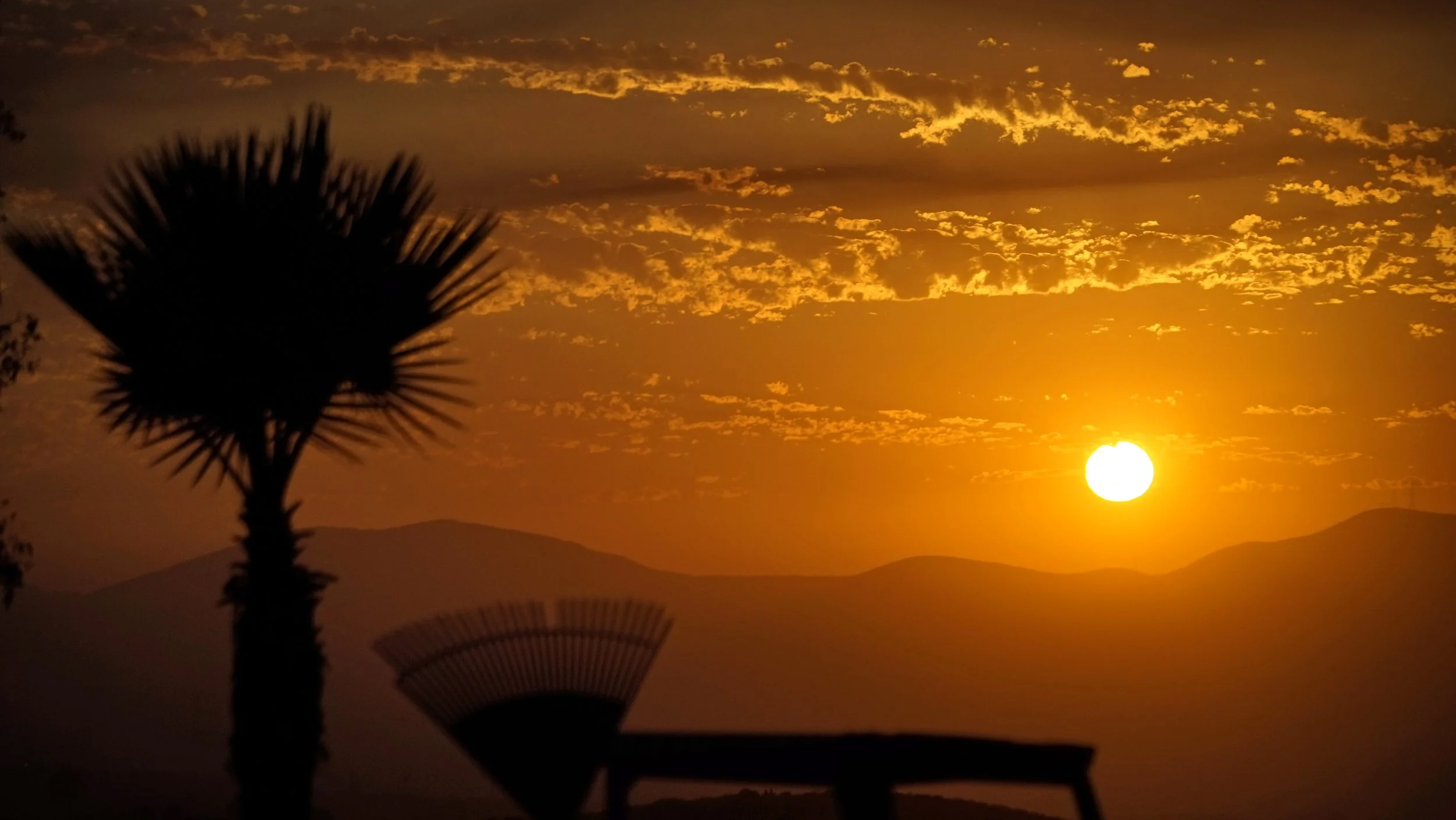 Sunset over mountains with a silhouetted palm tree and landscape features in the foreground