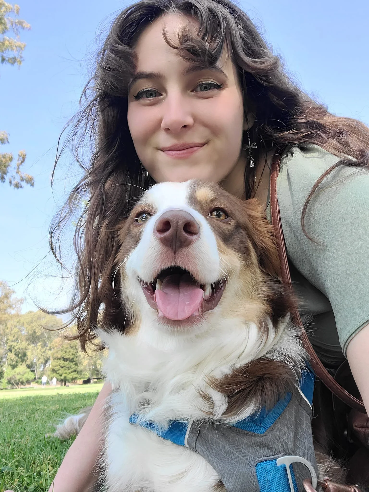 A woman with brown wavy hair posing with her chin on top of a brown and white border collie dog.