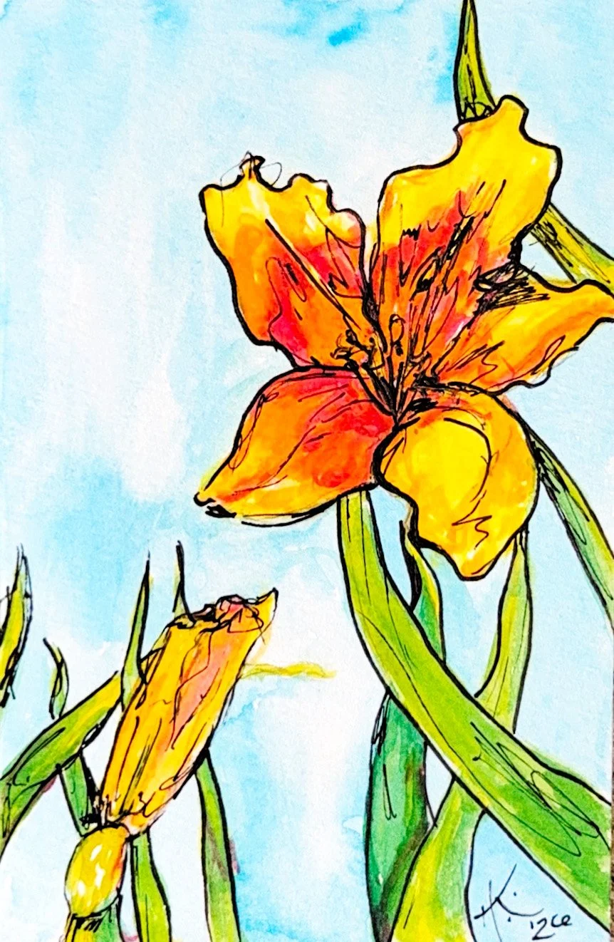 EDITEDorange lily postcard.jpg
