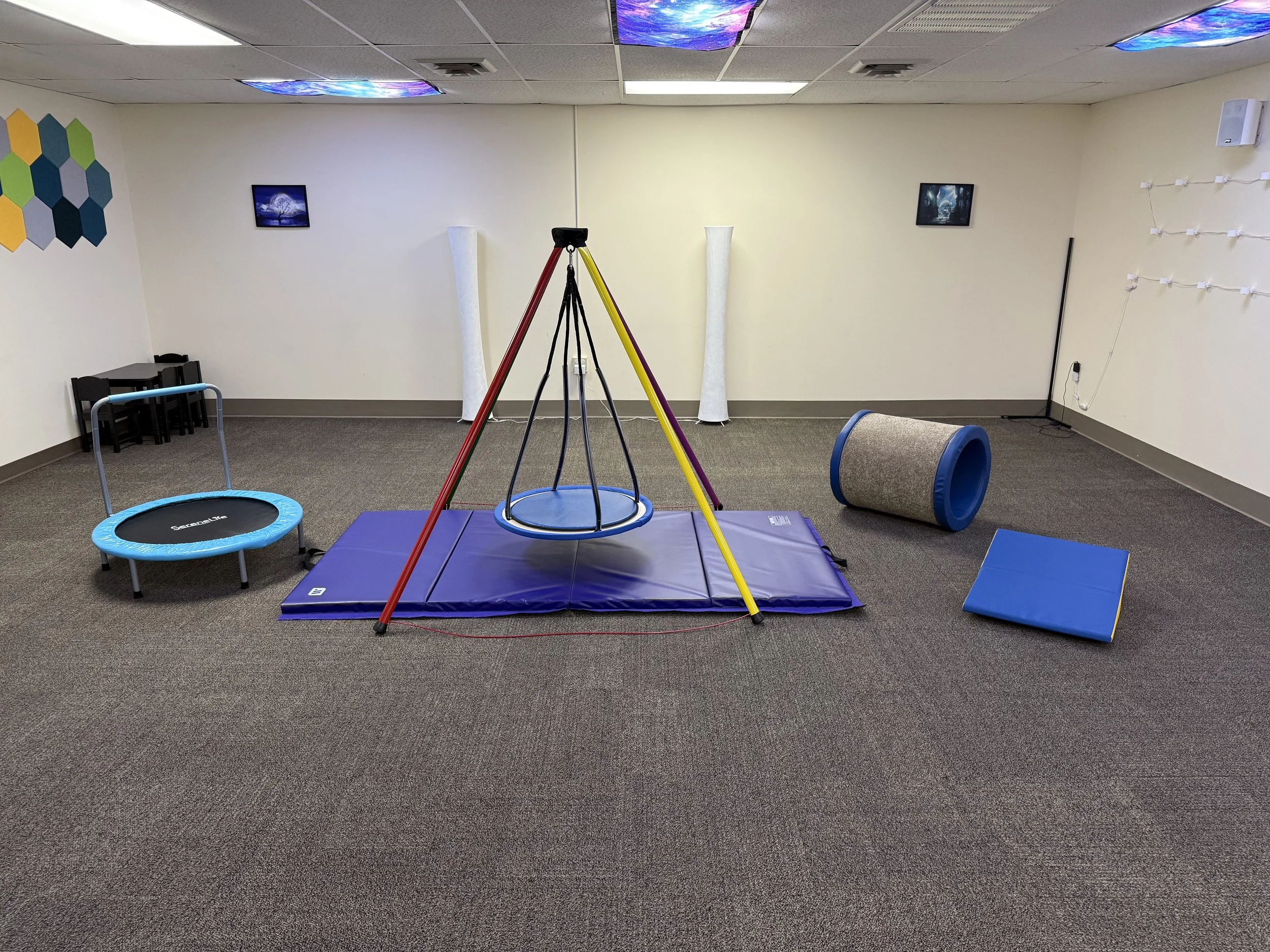 Occupational Therapy Gym