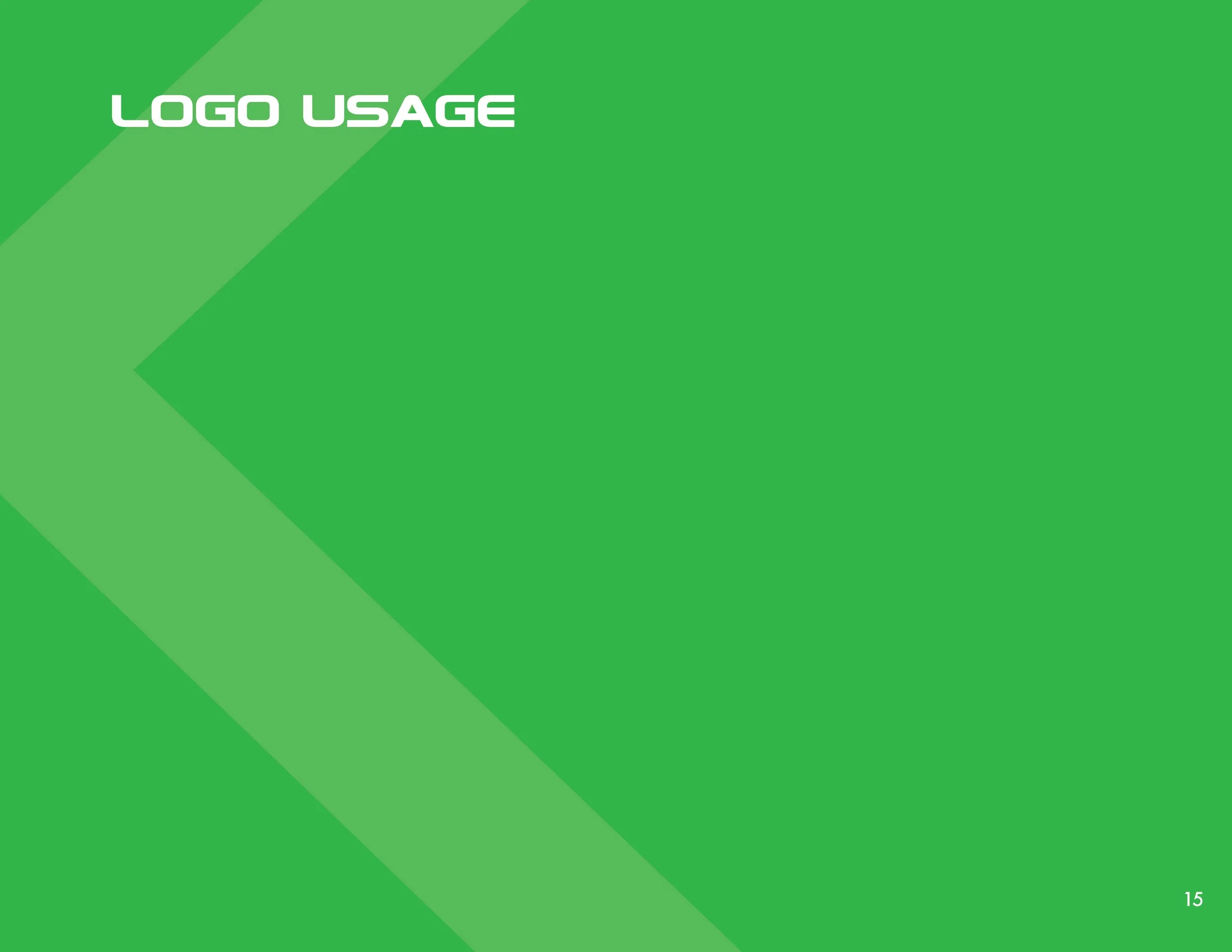 Branding Guidelines15.jpg