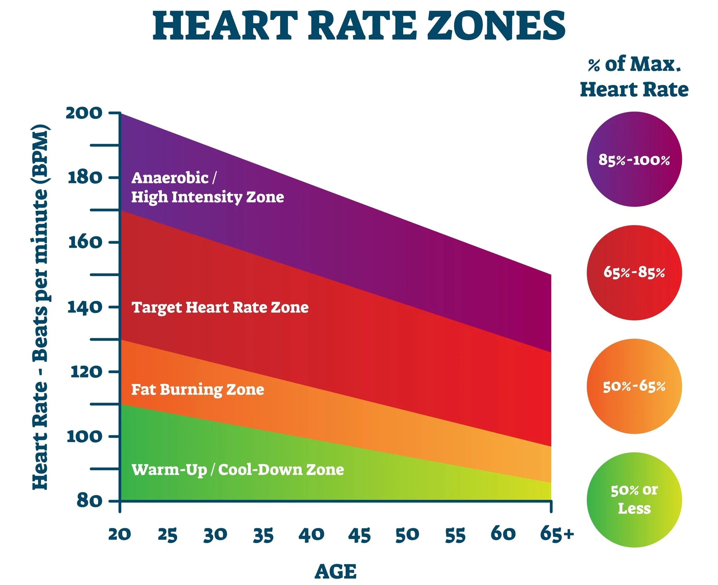 An infographic diagram showing a horizontal gauge with 5 heart rate zones colored grey, blue, green, orange, and red. The blue Zone 2, labeled 'Fat Burn / Aerobic Base (60-70%)