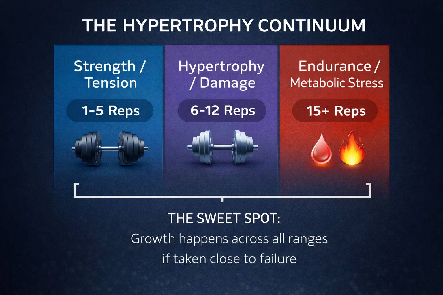 infographic of the repetition continuum, showing how different rep ranges target mechanical tension, muscle damage, and metabolic stress for optimal hypertrophy.