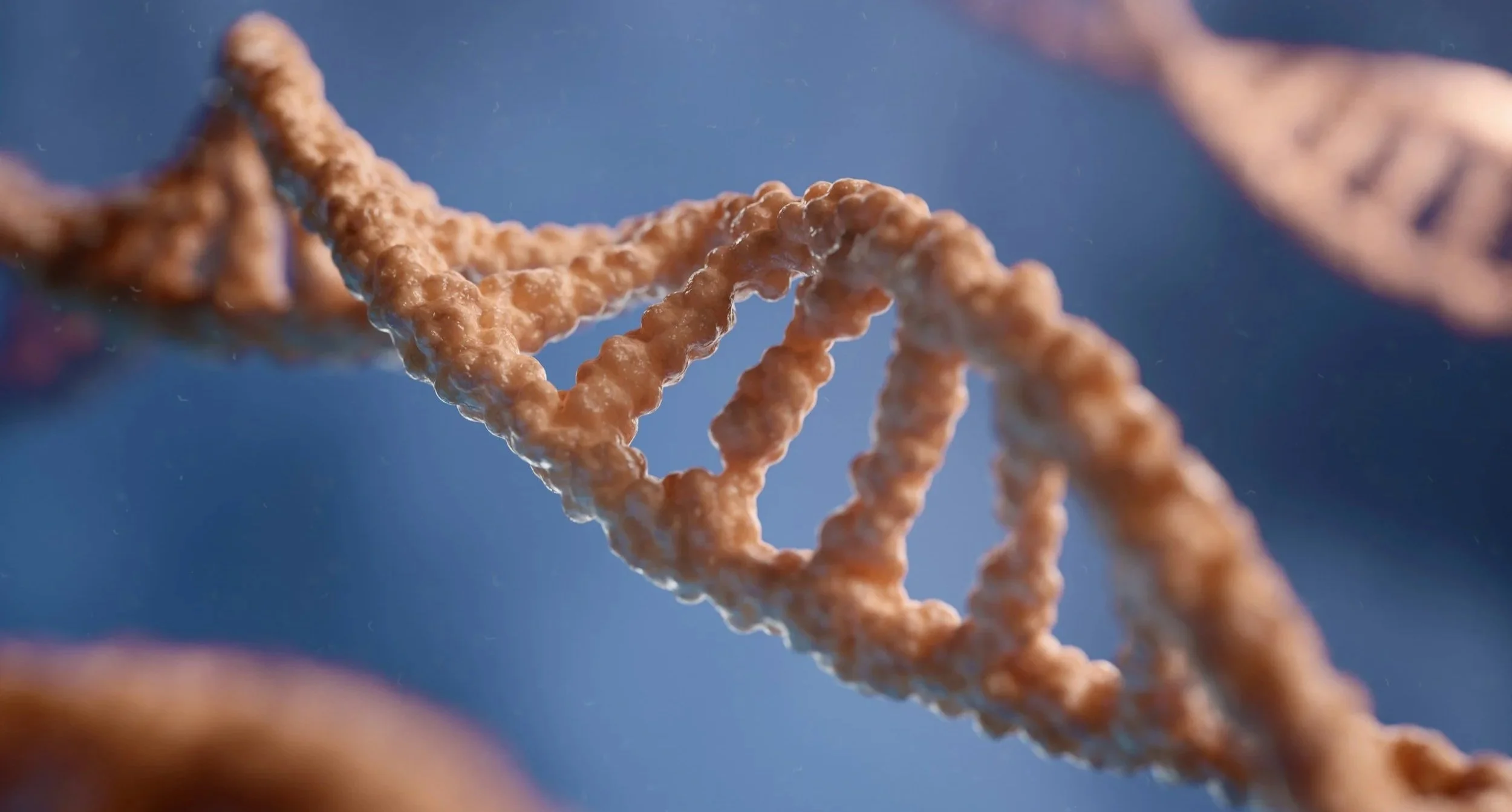 DNA methylation, histone modification, and small non-coding RNAs act as switches and dimmers