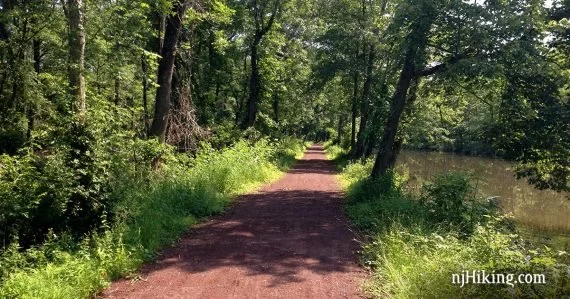 dr-trail-1200x630-570x299.jpg