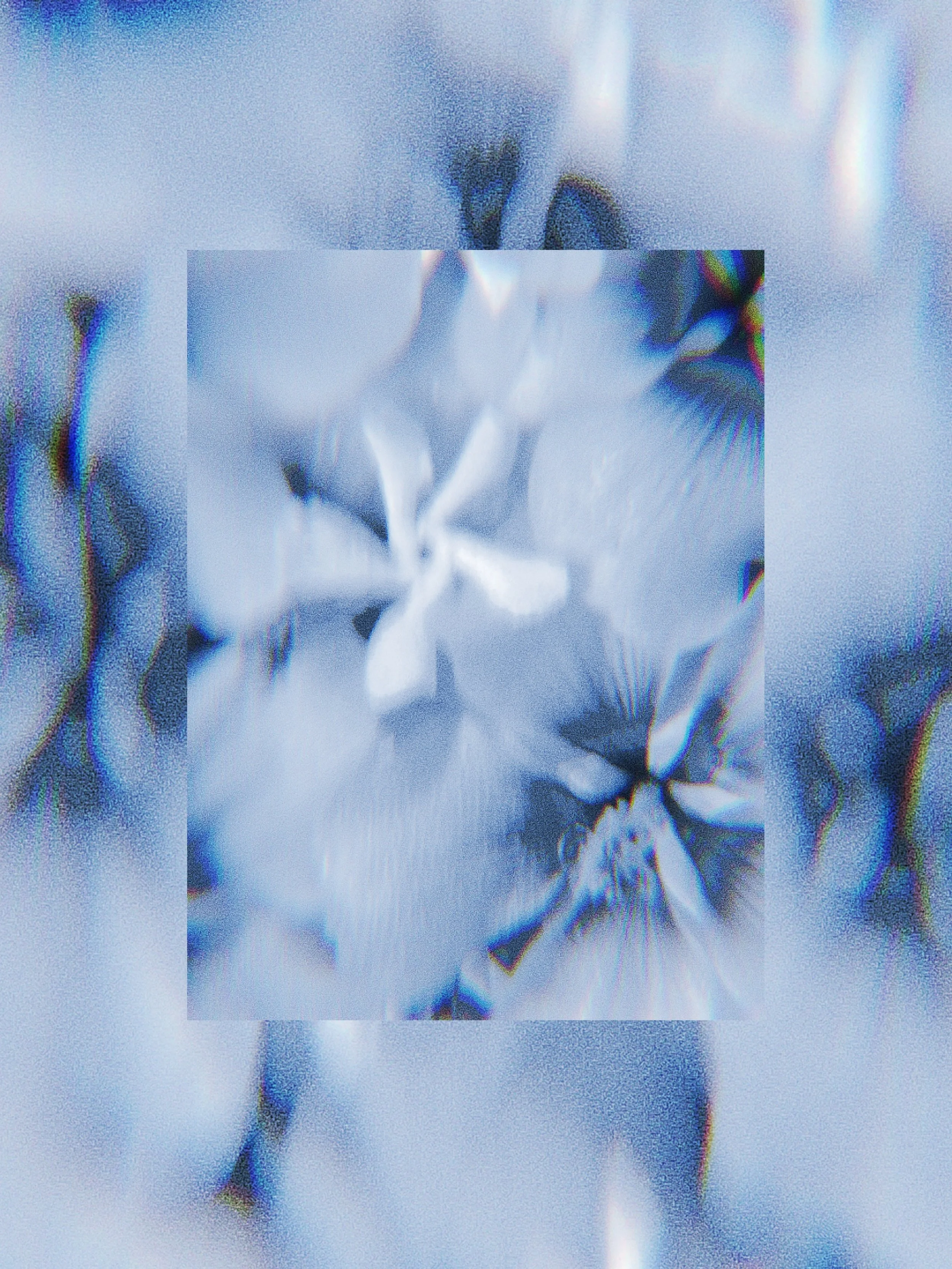 don&rsquo;t blame me.

Moodboard: 003
Star Jasmine ( White )
Tree Mallow ( Medium Purple, White )  Visuals crafted from Star Jasmine florets and Tree Mallow flowers, styled en masse. 
Impossible Princess: i really enjoy how independent she feels with