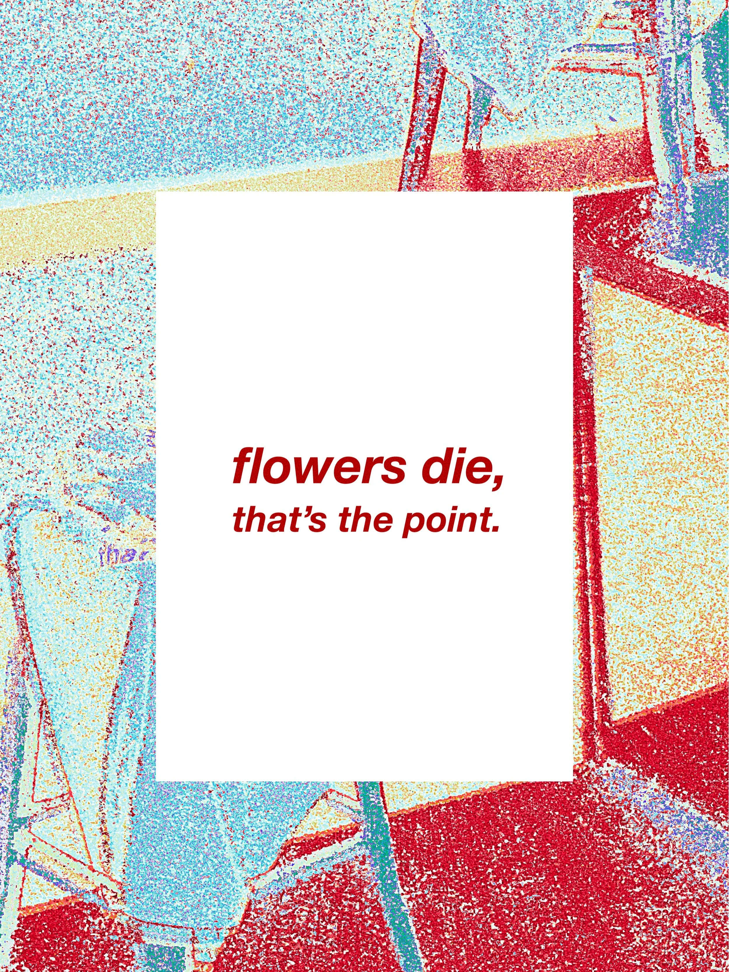 LAUNDRY SERVICE:

&ldquo;flowers die, that&rsquo;s the point.&rdquo;

Made to order.
100% cotton.
Unbranded.
Free shipping Australia-wide.
Available now at:
flowersbybrettmatthewjohn.com