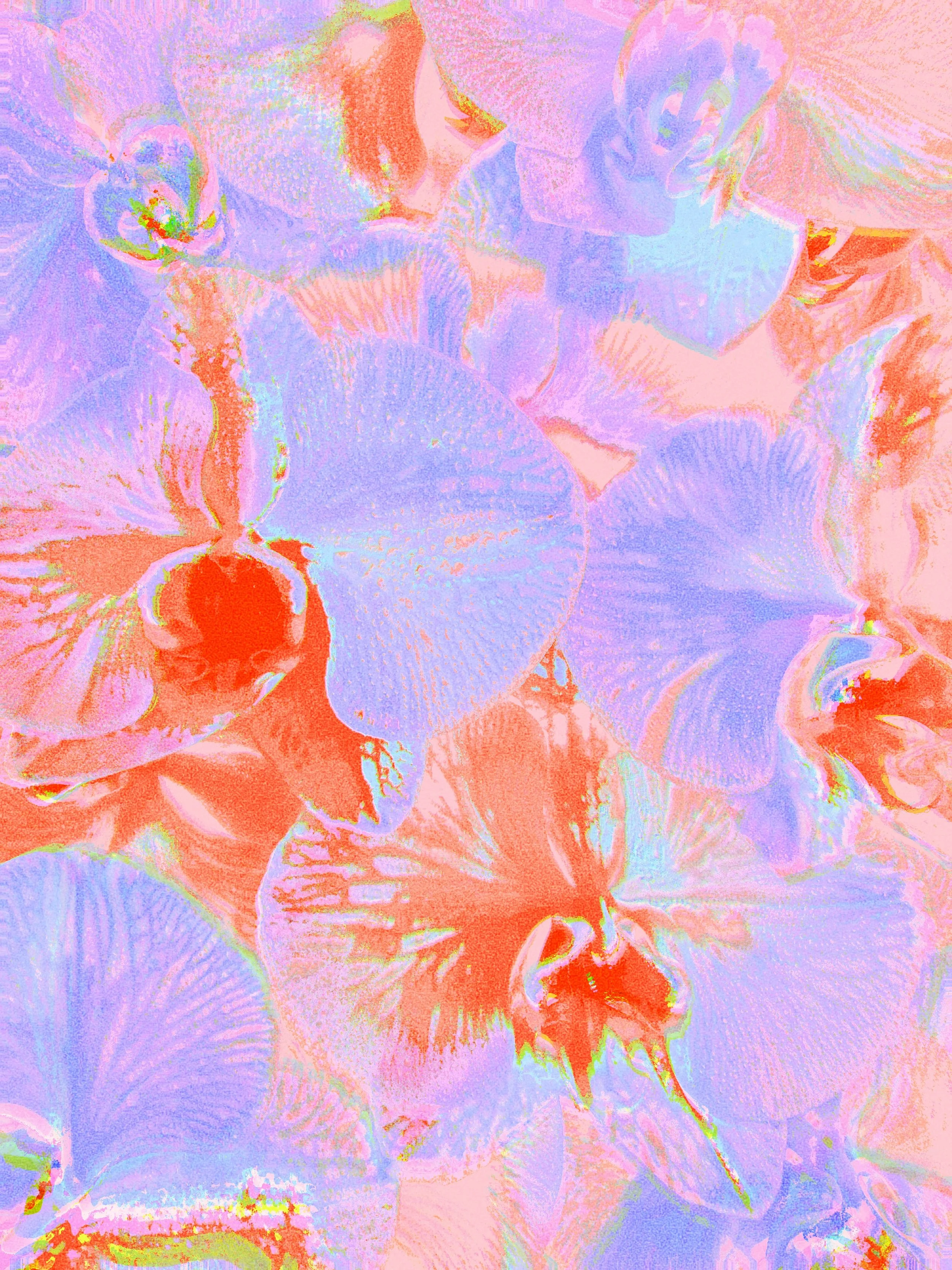 bout to mash, make them other chicks so mad.

Eye Candy: 003
Phalaenopsis Orchid (Rainbow)