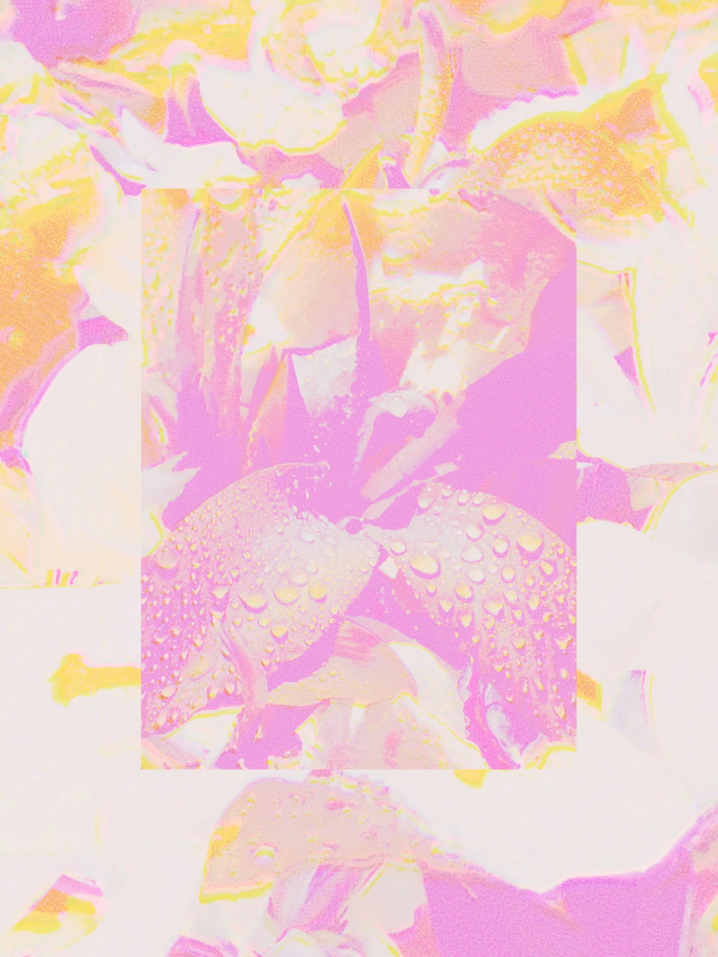 slap the back and jiggle it like jell-o.

Eye Candy: 004
Agapanthus (Periwinkle, White)
Butterly Iris (White)
Canna Lily (Orange)
Double Hibiscus (Soft Apricot)