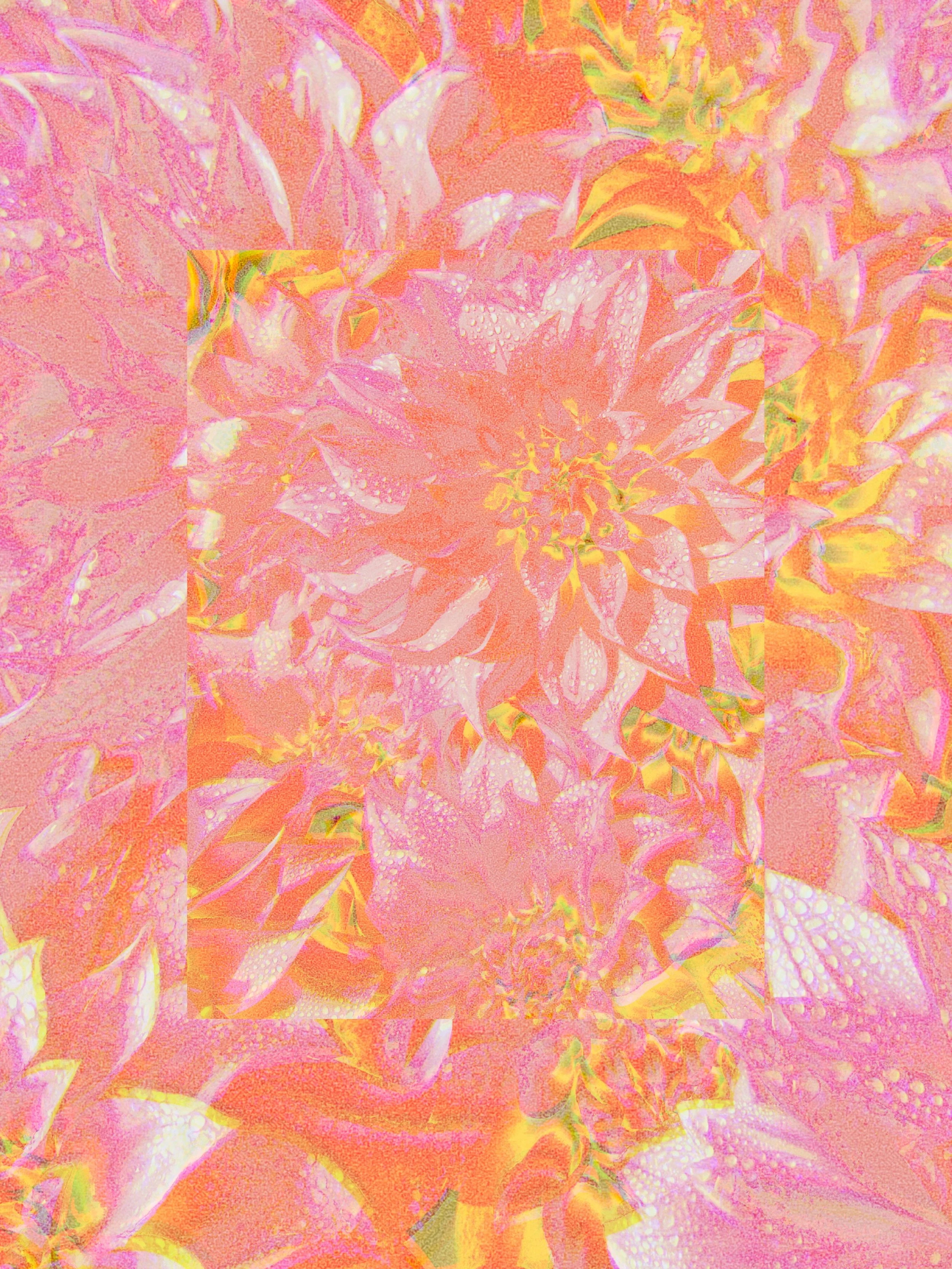 eyes&rsquo;ll squint.
 Eye Candy: 010 Dahlia (Magenta)

Visuals crafted from Dahlia flowers, styled en masse.