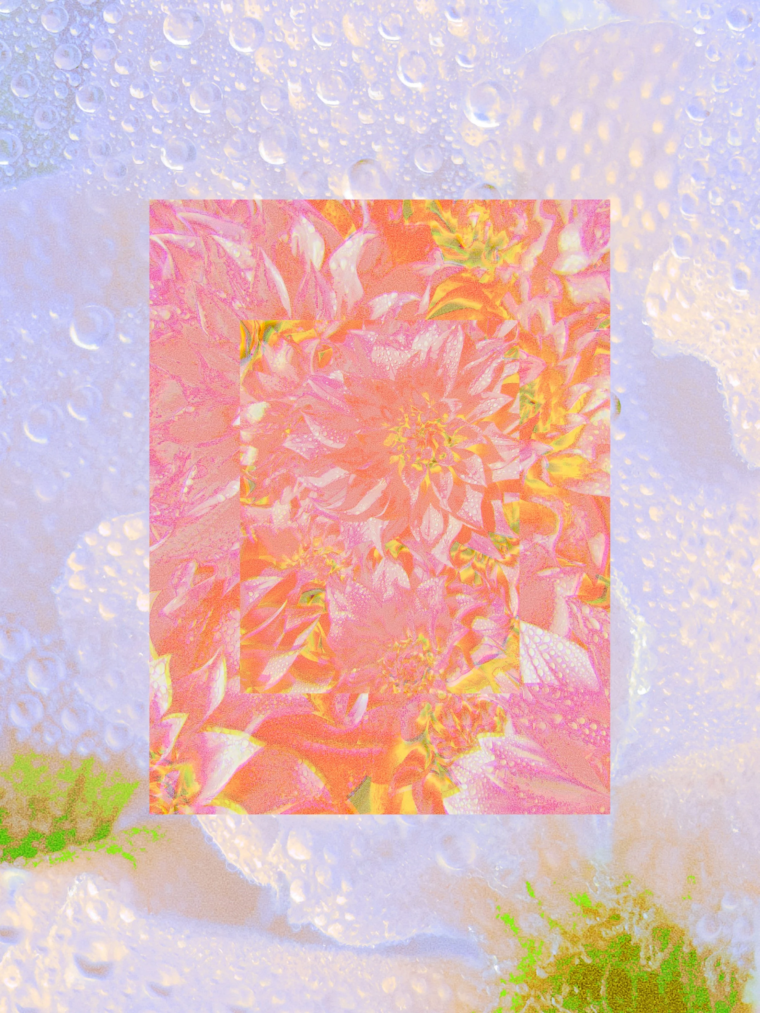 completely different, but also still. P2

001-004/012
Visuals crafted from flowers, styled en masse.

Flowers in a different format.