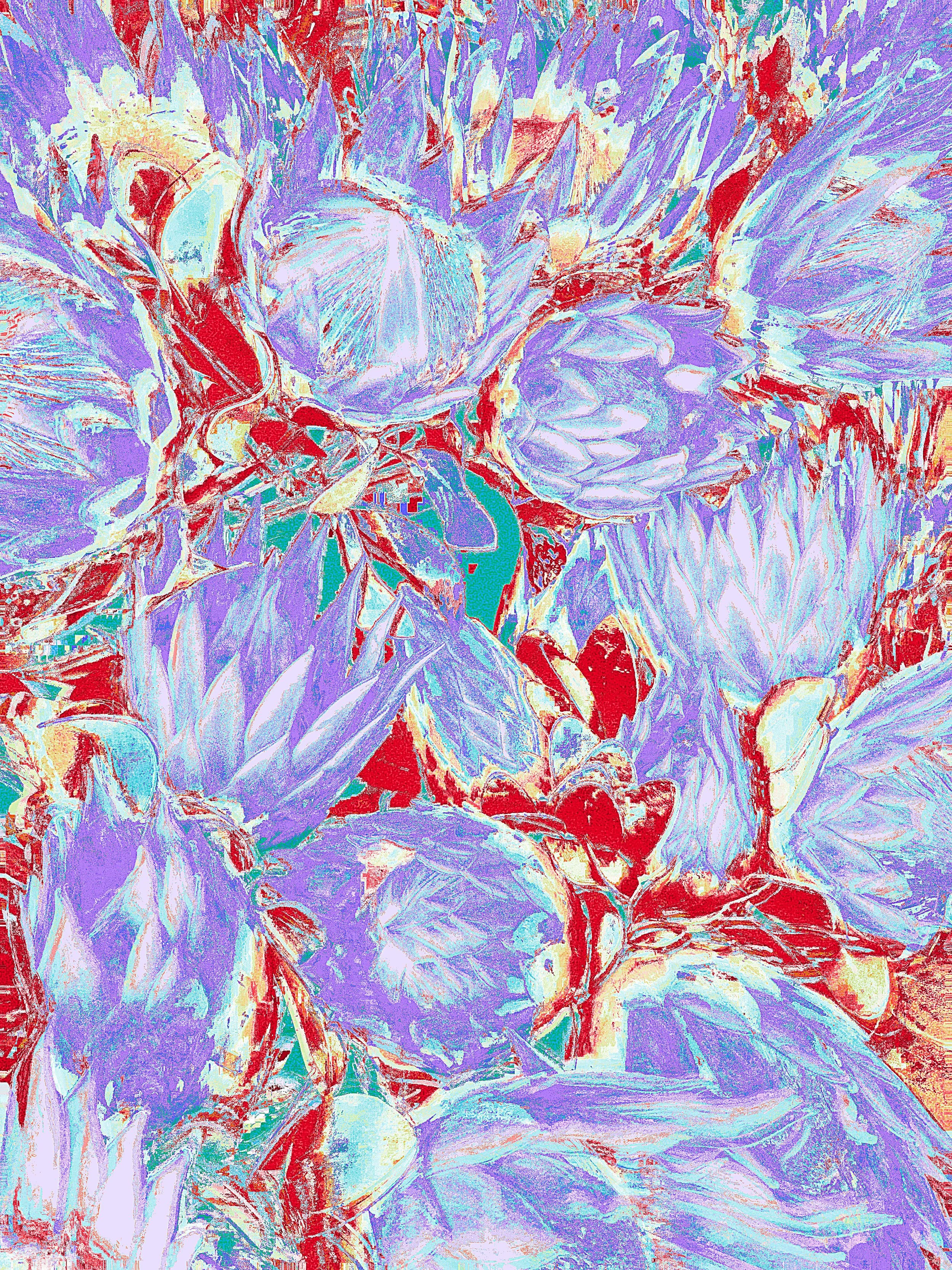 ACS_22600.JPG