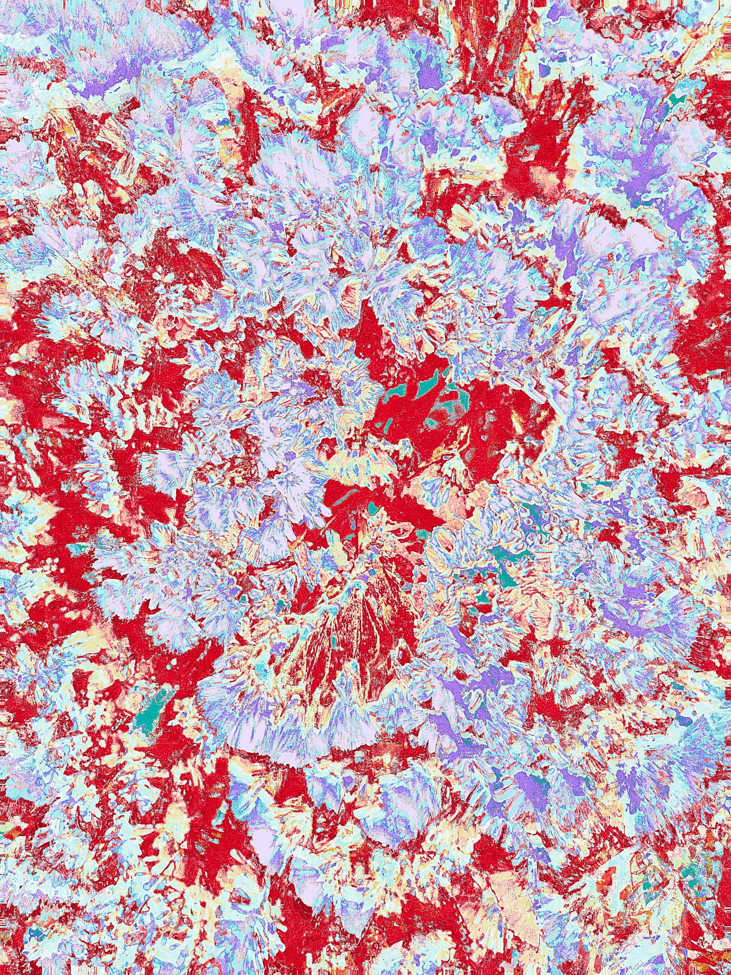 ACS_22610.JPG