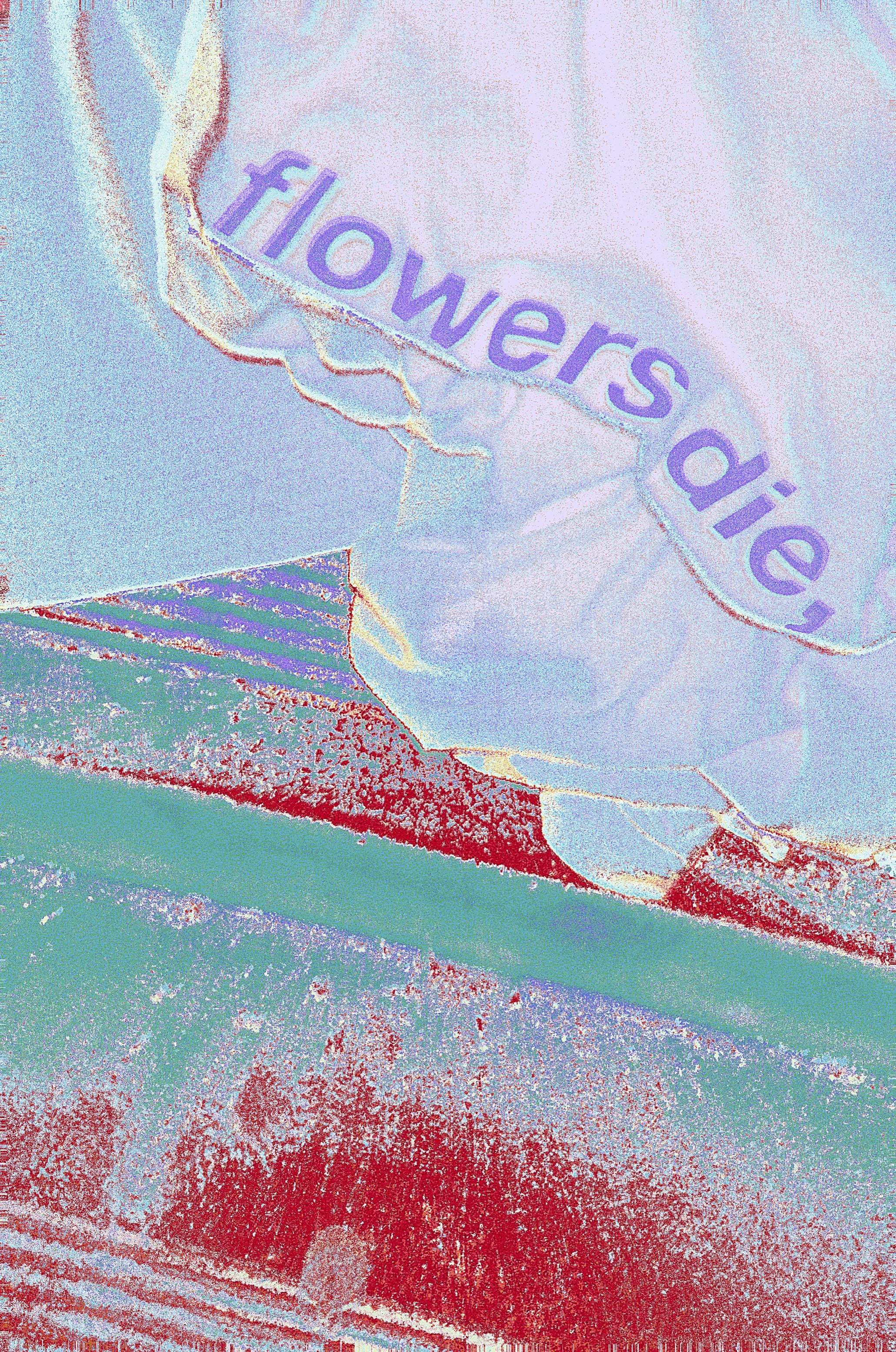 ACS_25130 2.jpg