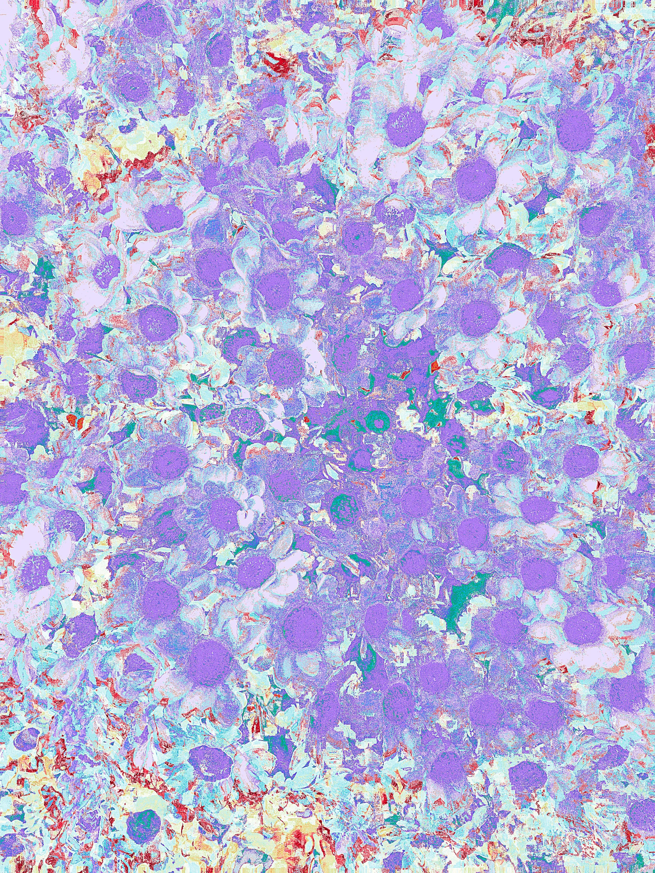 ACS_22604.JPG