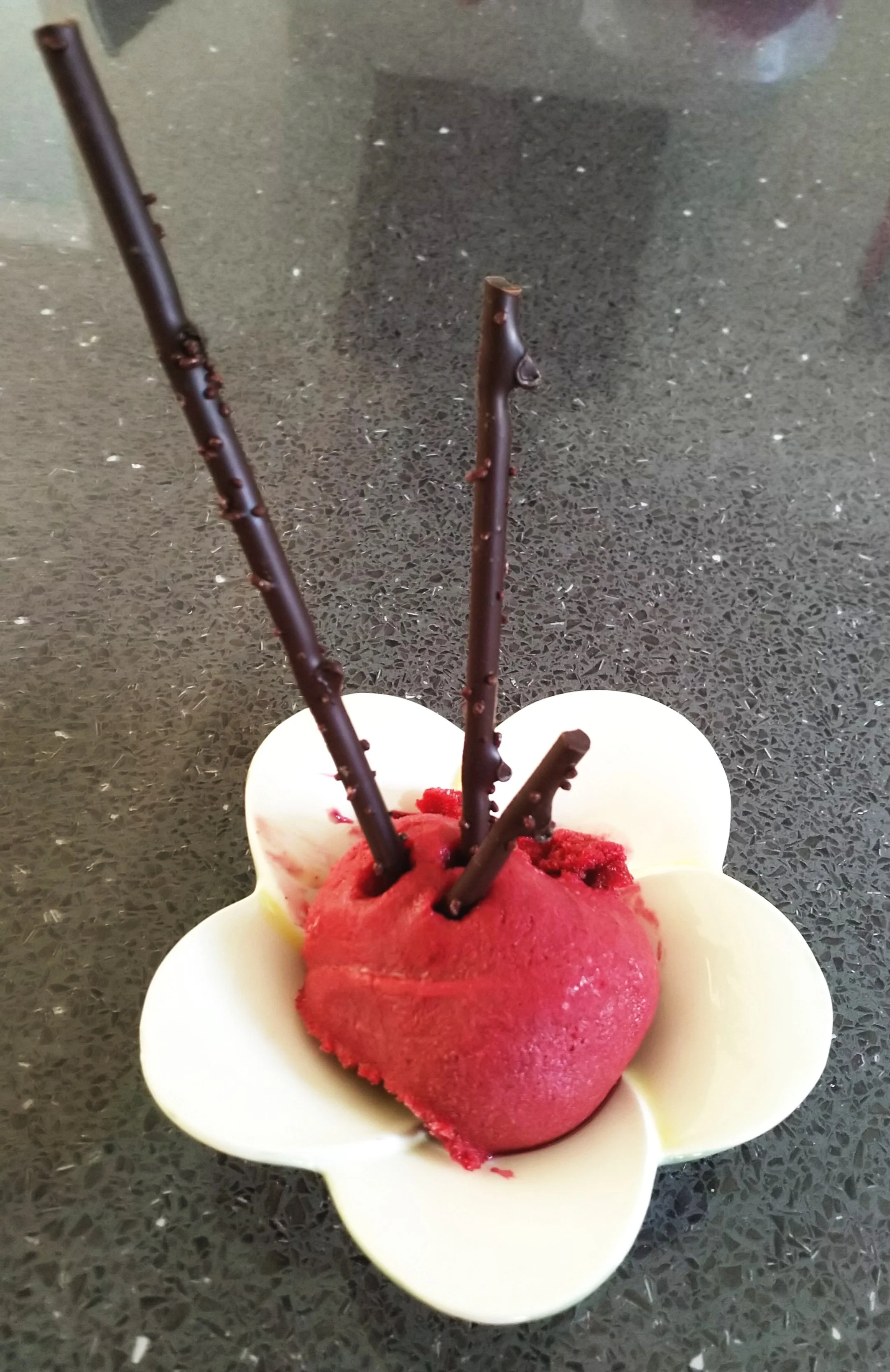 Haskap Sorbet has a brilliant colour