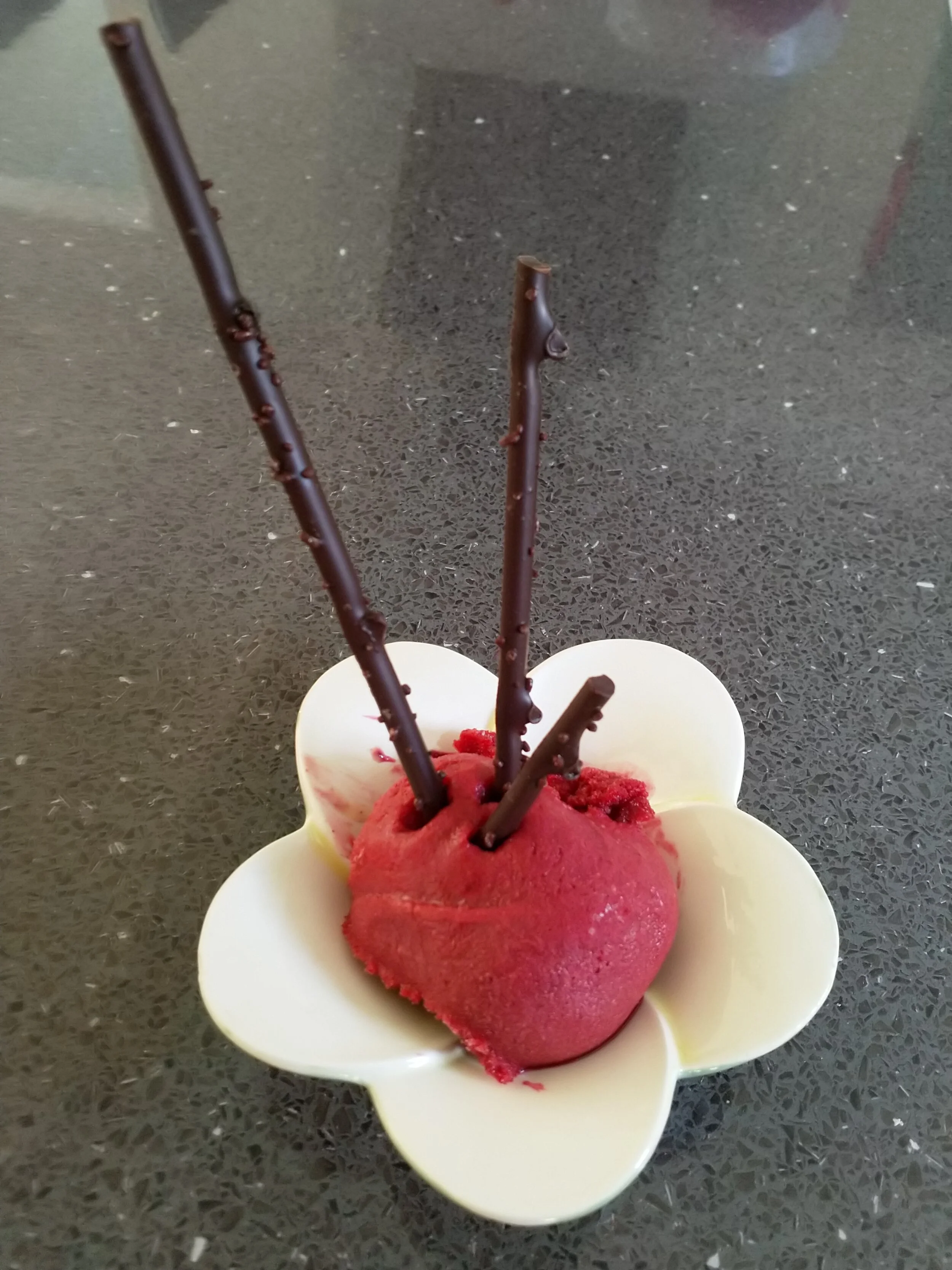 Haskap Sorbet has a brilliant colour