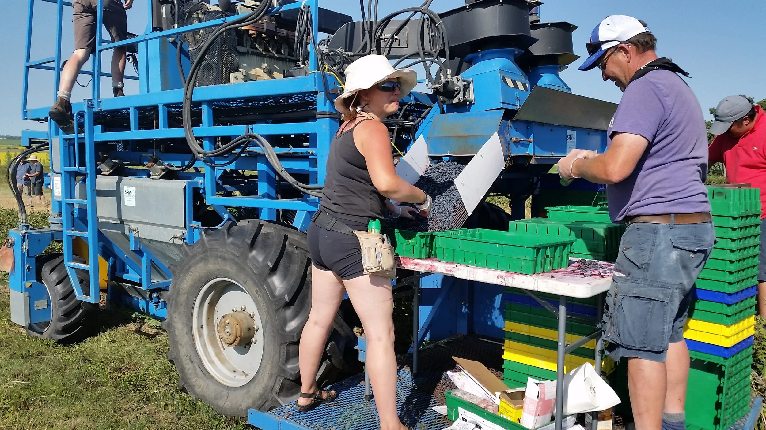 Harvesting machine in operation